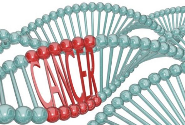 Mthfr Genetic Mutation: Symptoms And Detection
