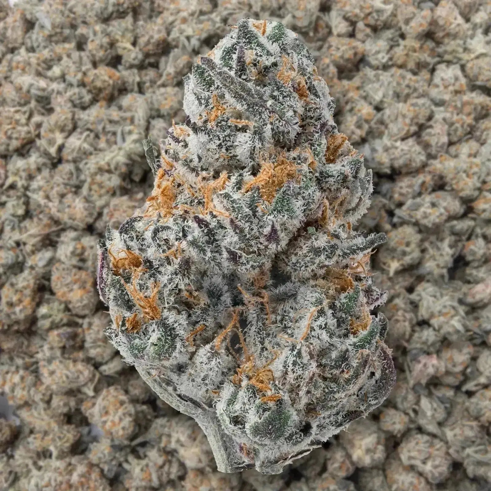 THCA Flower Smalls: The Game-Changing Cannabis Trend Reshaping America