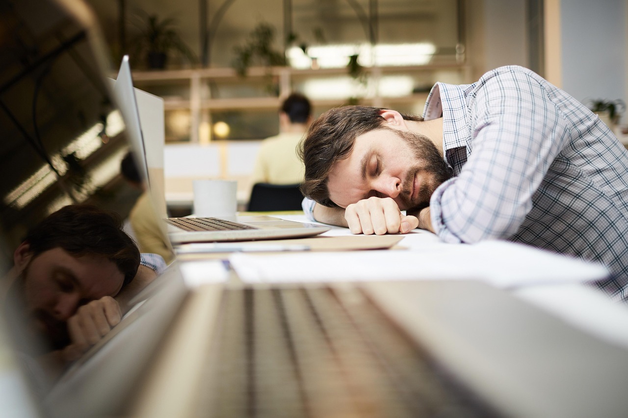 Man, adult, young — Top Trends in White Label SEO for 2024